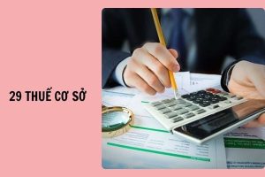 Danh sách 29 Thuế cơ sở thuộc Thuế TPHCM từ 01/7/2025